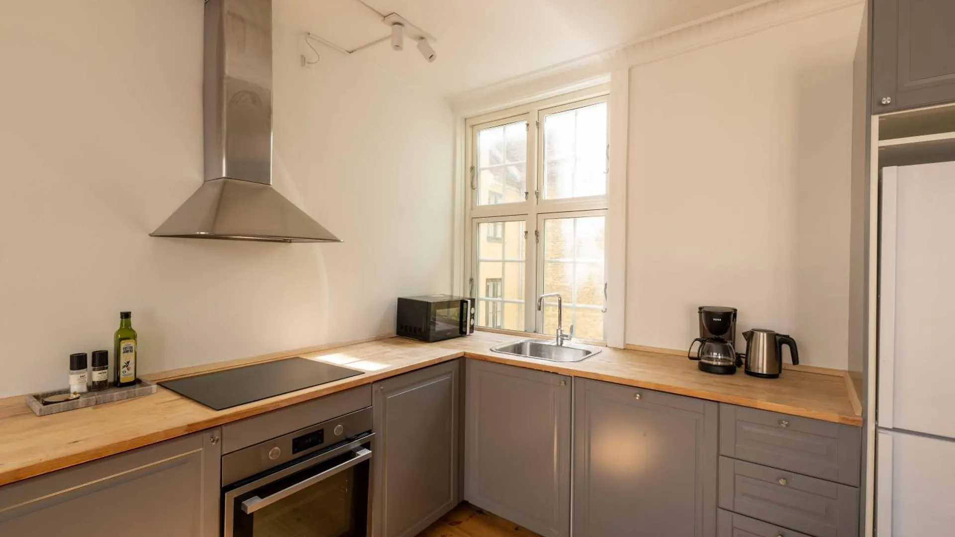 Big 4 Bedroom Apartment With Bathtub By Cph City Hall Square Köpenhamn